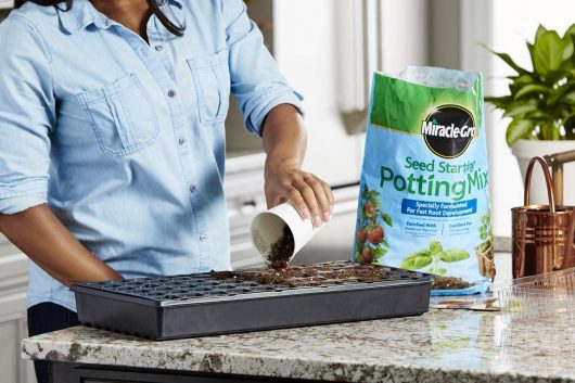 Miracle-Gro Seed Starting Potting Mix, 2-pack 8 qt., For Use in Containers - Image 3